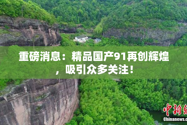 重磅消息：精品国产91再创辉煌，吸引众多关注！