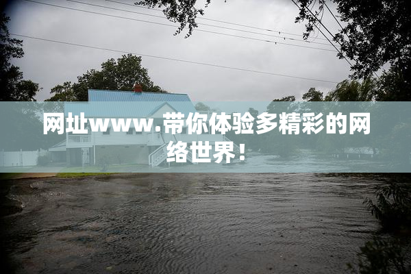 网址www.带你体验多精彩的网络世界！