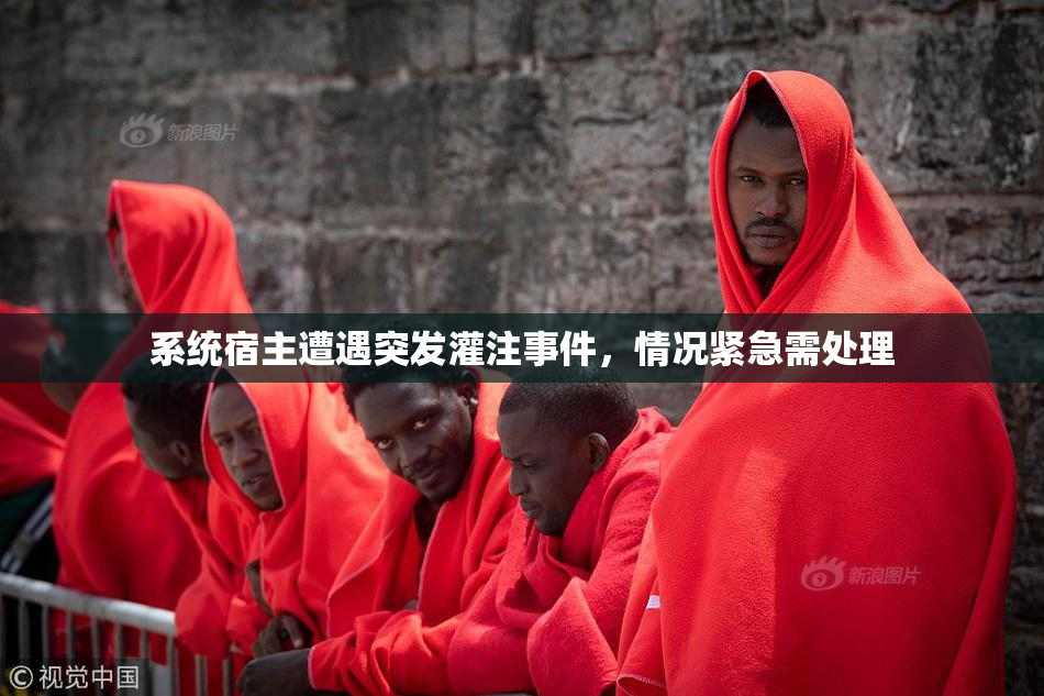 系统宿主遭遇突发灌注事件，情况紧急需处理