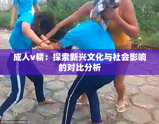 成人v精：探索新兴文化与社会影响的对比分析