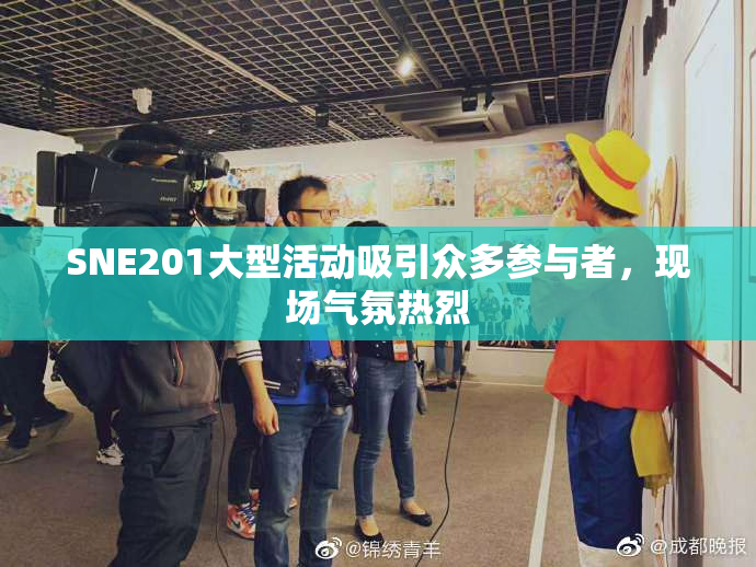SNE201大型活动吸引众多参与者，现场气氛热烈