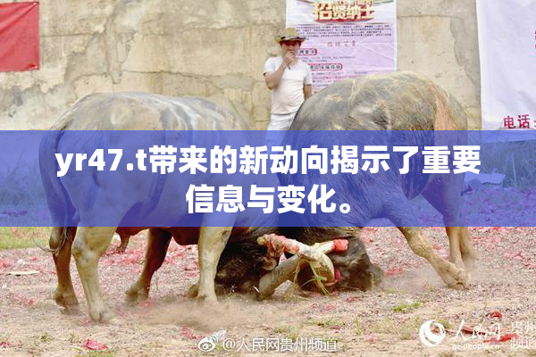 yr47.t带来的新动向揭示了重要信息与变化。