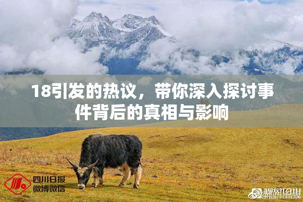 18引发的热议，带你深入探讨事件背后的真相与影响