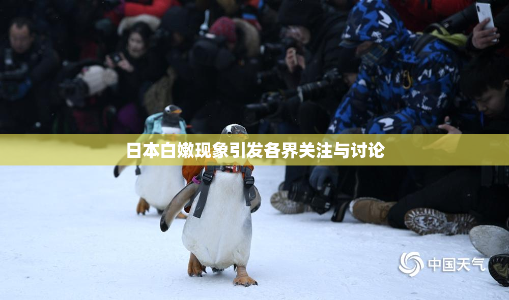 日本白嫩现象引发各界关注与讨论