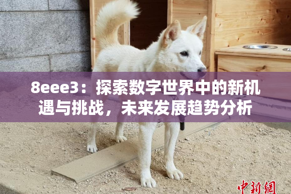 8eee3：探索数字世界中的新机遇与挑战，未来发展趋势分析
