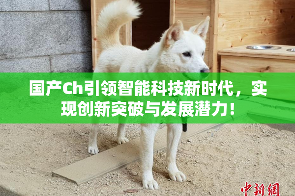 国产Ch引领智能科技新时代，实现创新突破与发展潜力！