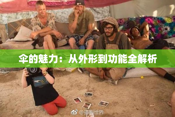 伞的魅力：从外形到功能全解析