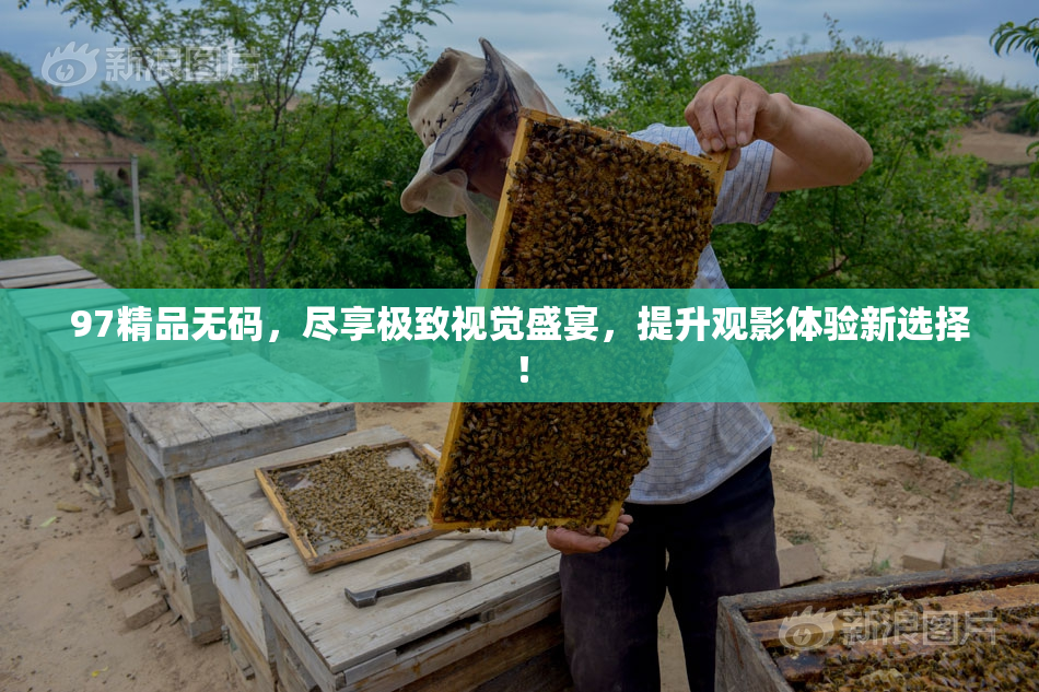 97精品无码，尽享极致视觉盛宴，提升观影体验新选择！