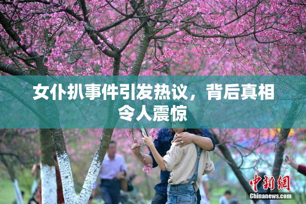 女仆扒事件引发热议，背后真相令人震惊