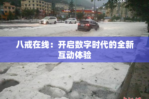 八戒在线：开启数字时代的全新互动体验