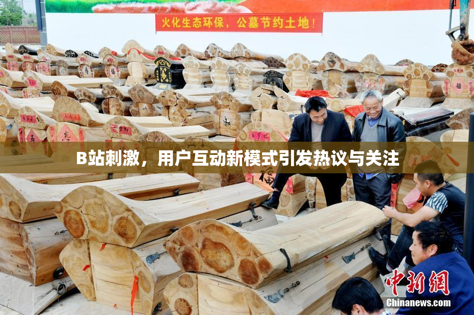 B站刺激，用户互动新模式引发热议与关注