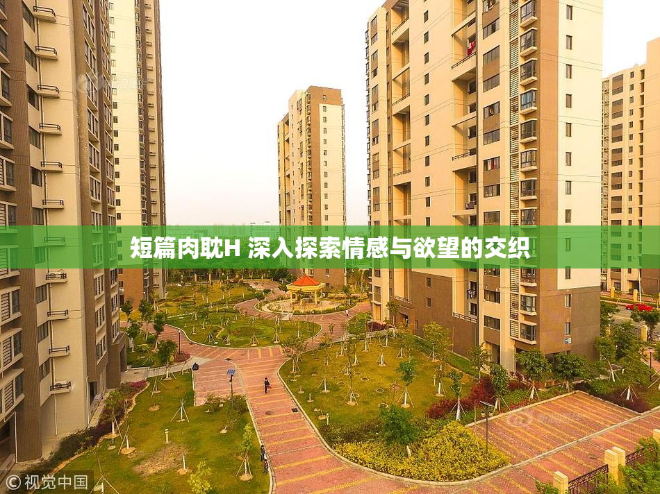 短篇肉耽H 深入探索情感与欲望的交织