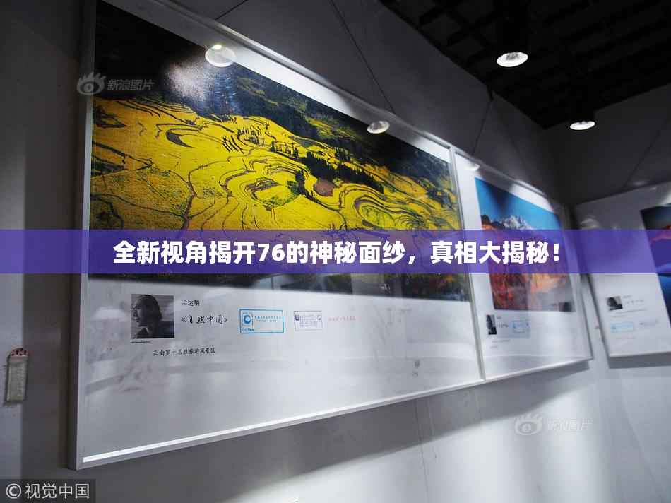 全新视角揭开76的神秘面纱，真相大揭秘！