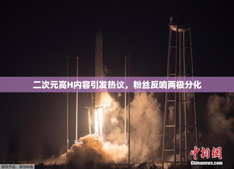 二次元高H内容引发热议，粉丝反响两极分化
