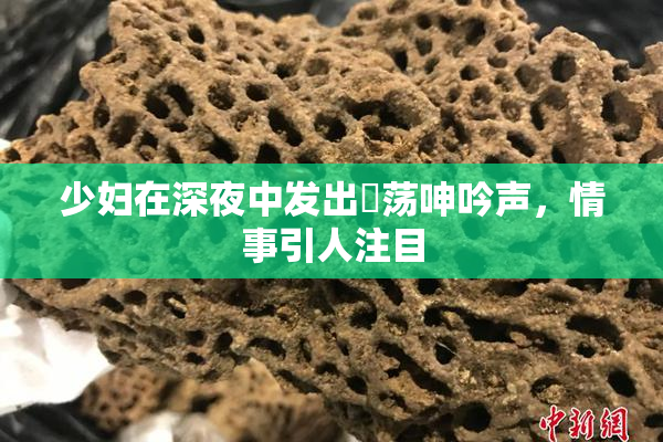少妇在深夜中发出婬荡呻吟声，情事引人注目