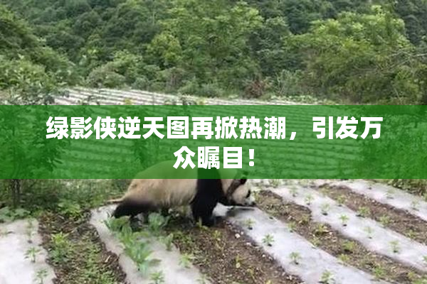 绿影侠逆天图再掀热潮，引发万众瞩目！