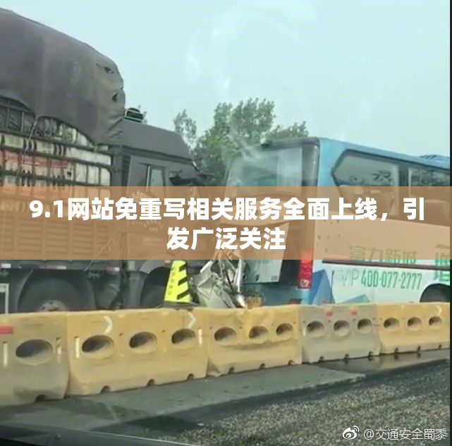 9.1网站免重写相关服务全面上线，引发广泛关注
