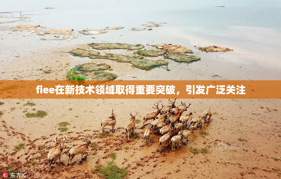 fiee在新技术领域取得重要突破，引发广泛关注