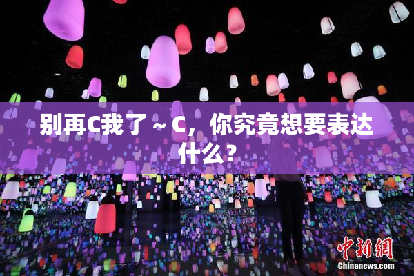 别再C我了～C，你究竟想要表达什么？