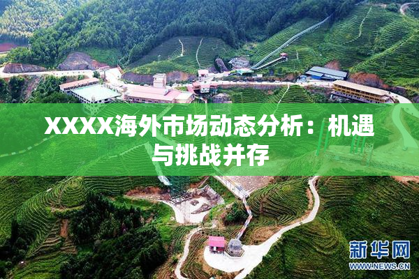 XXXX海外市场动态分析：机遇与挑战并存