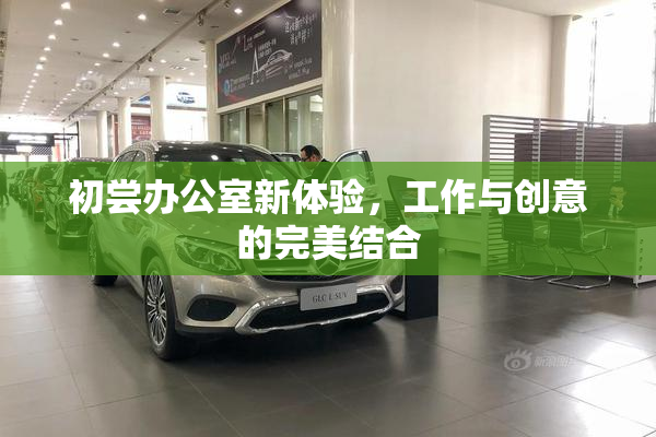 初尝办公室新体验，工作与创意的完美结合