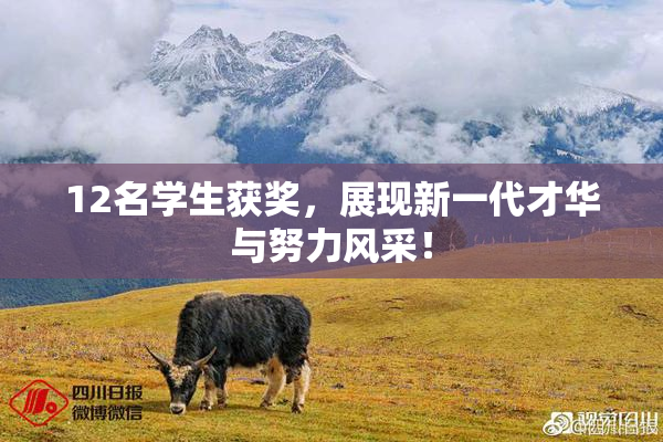 12名学生获奖，展现新一代才华与努力风采！