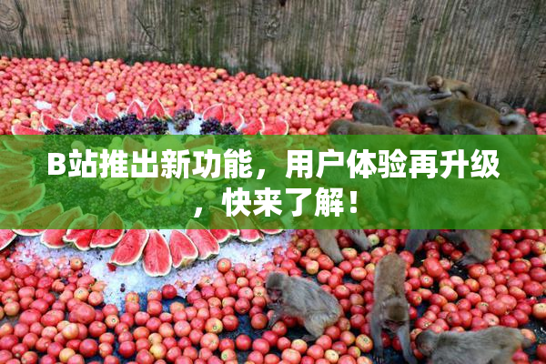B站推出新功能，用户体验再升级，快来了解！