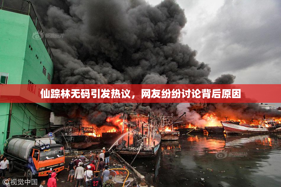 仙踪林无码引发热议，网友纷纷讨论背后原因