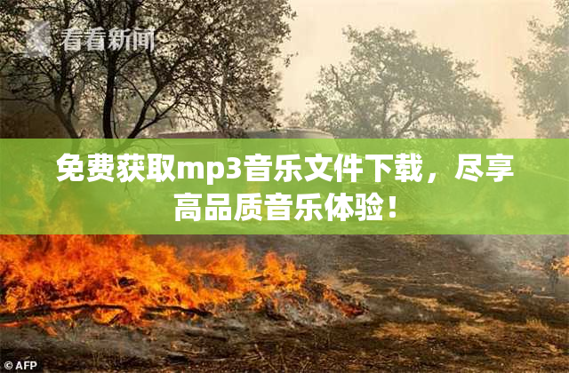 免费获取mp3音乐文件下载，尽享高品质音乐体验！