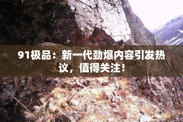 91极品：新一代劲爆内容引发热议，值得关注！
