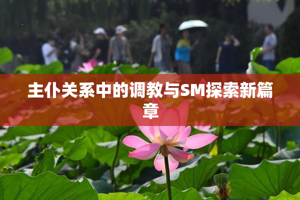 主仆关系中的调教与SM探索新篇章