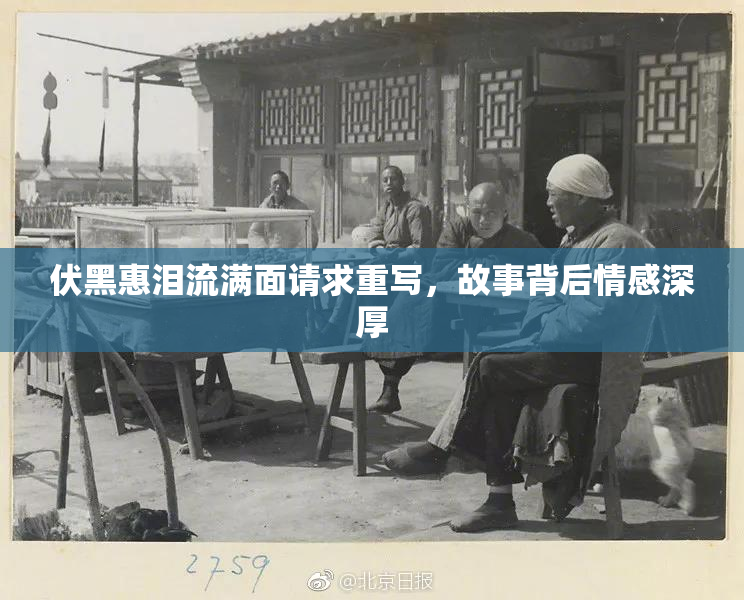 伏黑惠泪流满面请求重写，故事背后情感深厚