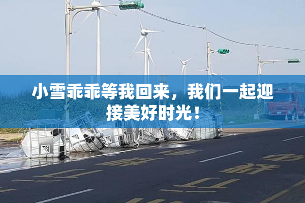 小雪乖乖等我回来，我们一起迎接美好时光！