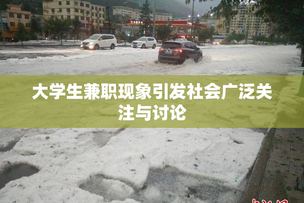 大学生兼职现象引发社会广泛关注与讨论