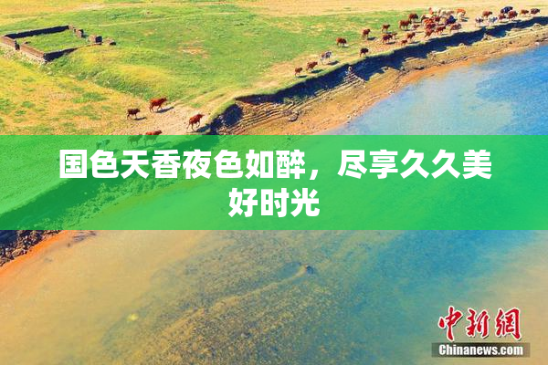 国色天香夜色如醉，尽享久久美好时光