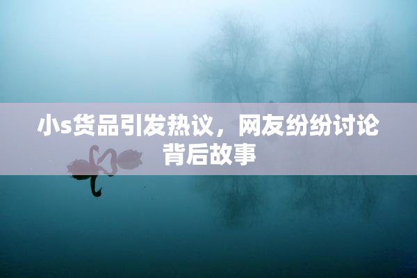 小s货品引发热议，网友纷纷讨论背后故事