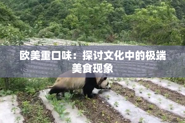 欧美重口味：探讨文化中的极端美食现象