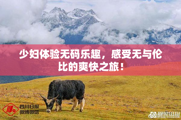 少妇体验无码乐趣，感受无与伦比的爽快之旅！