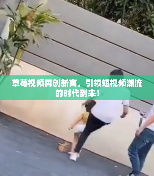 草莓视频再创新高，引领短视频潮流的时代到来！