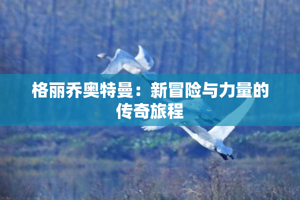 格丽乔奥特曼：新冒险与力量的传奇旅程