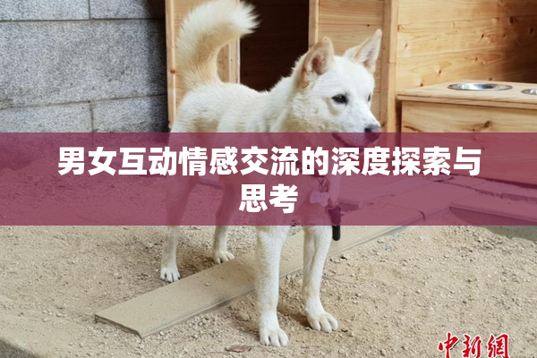 男女互动情感交流的深度探索与思考