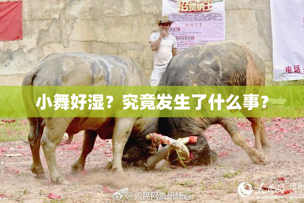 小舞好湿？究竟发生了什么事？