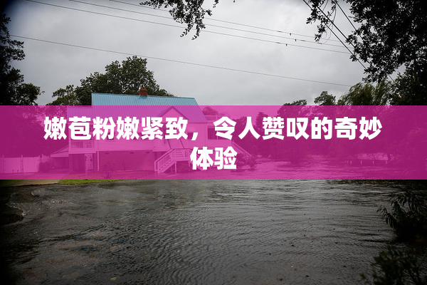 嫩苞粉嫩紧致，令人赞叹的奇妙体验