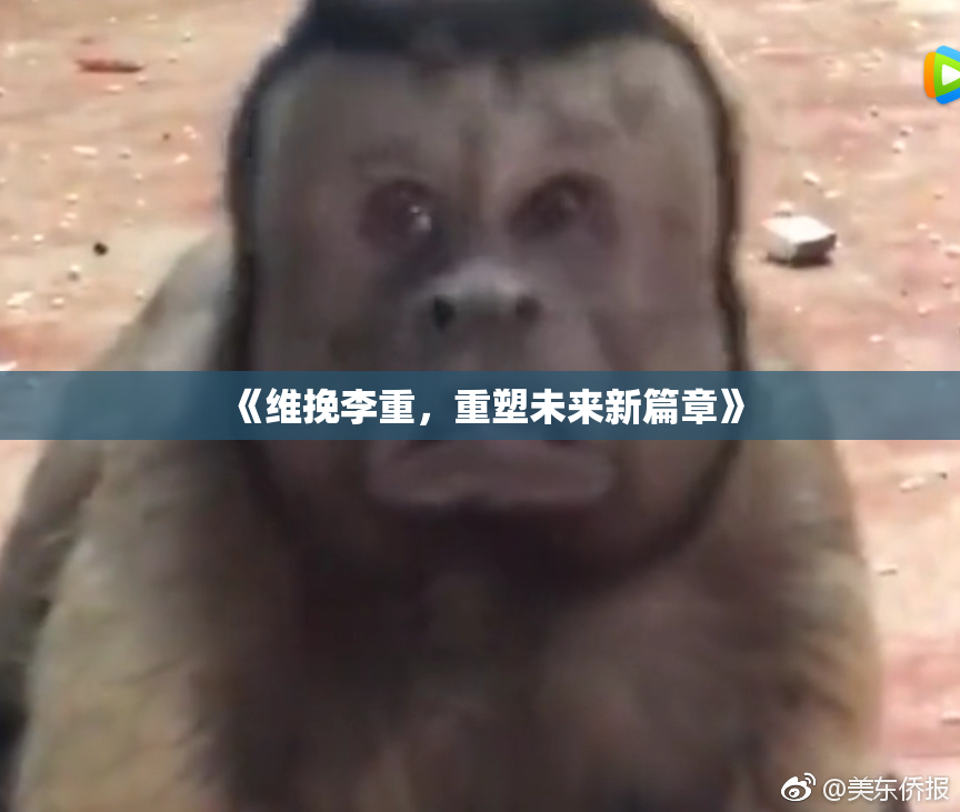 《维挽李重，重塑未来新篇章》