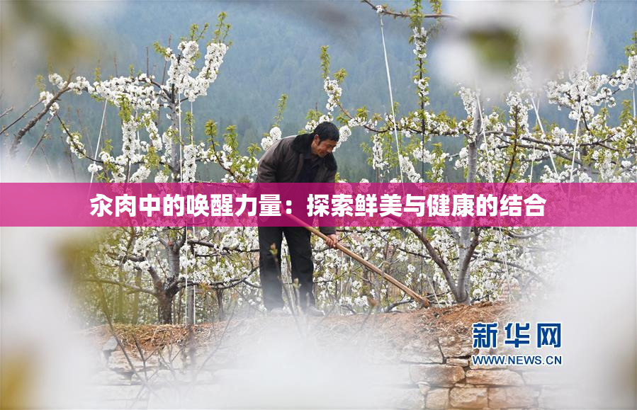 汆肉中的唤醒力量：探索鲜美与健康的结合