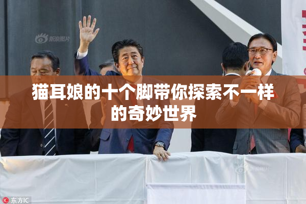 猫耳娘的十个脚带你探索不一样的奇妙世界