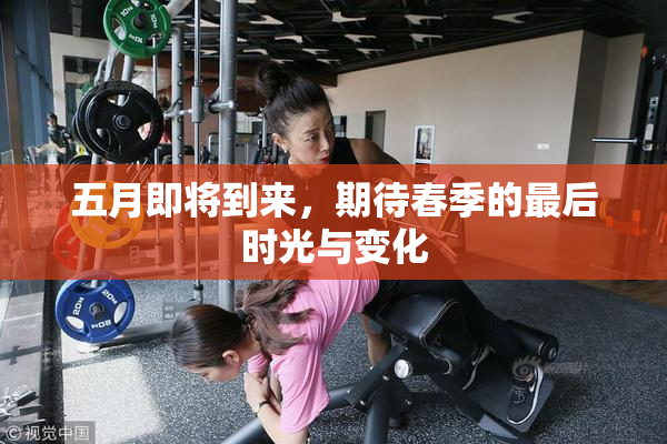 五月即将到来，期待春季的最后时光与变化