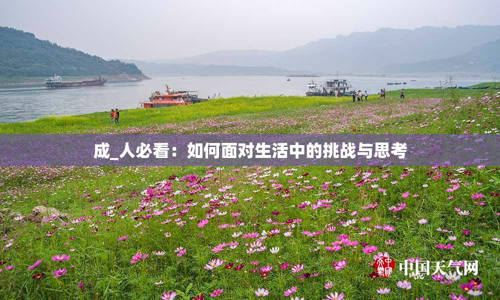 成_人必看：如何面对生活中的挑战与思考
