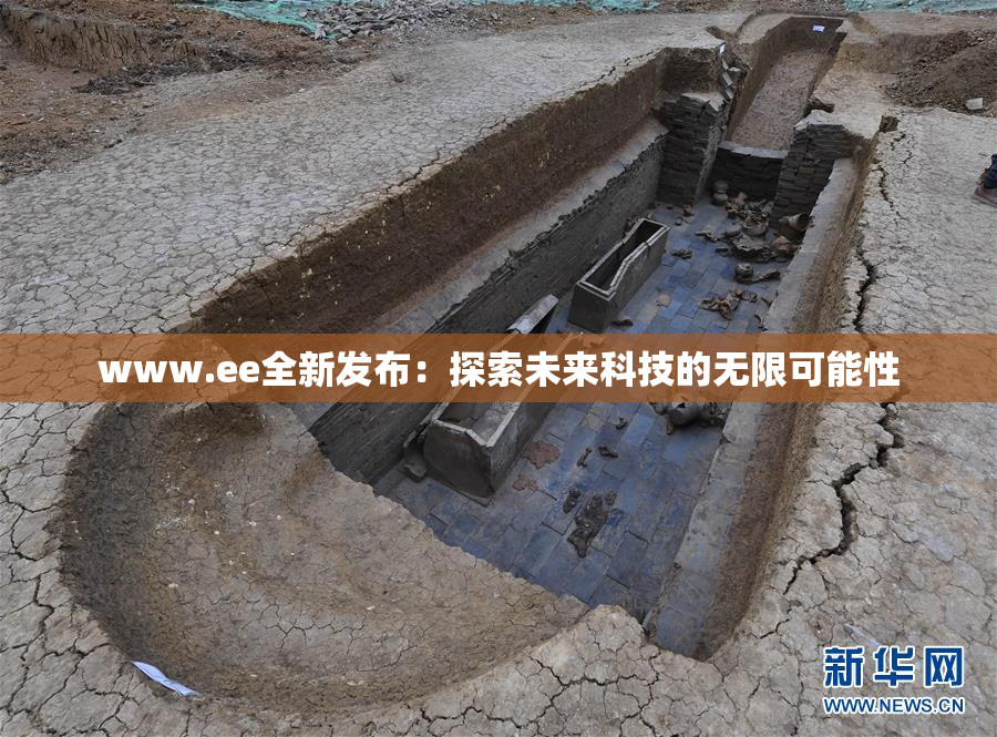 www.ee全新发布：探索未来科技的无限可能性