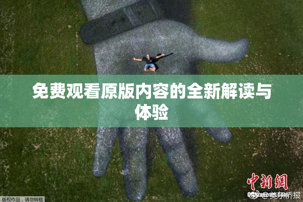 免费观看原版内容的全新解读与体验